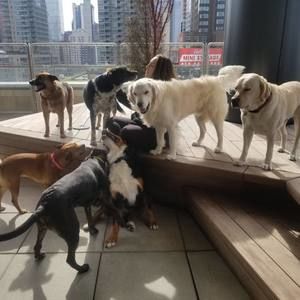 Meet your Posher, Sara